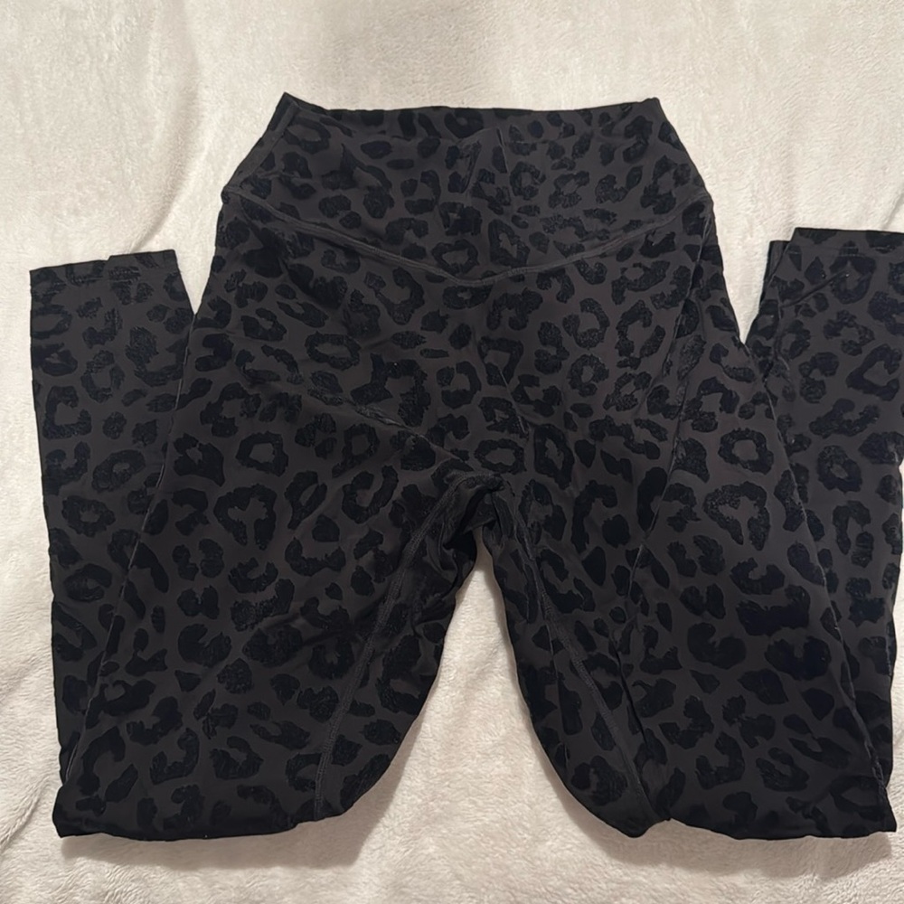 Velvet Kingdom Leggings